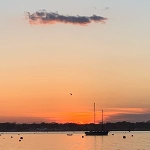 Meet your Posher, Davis